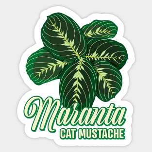 Maranta Cat Mustache Sticker